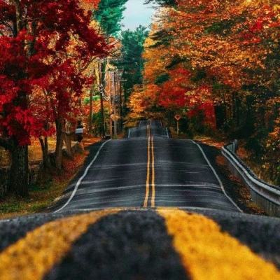 pg棋牌软件平台app下载